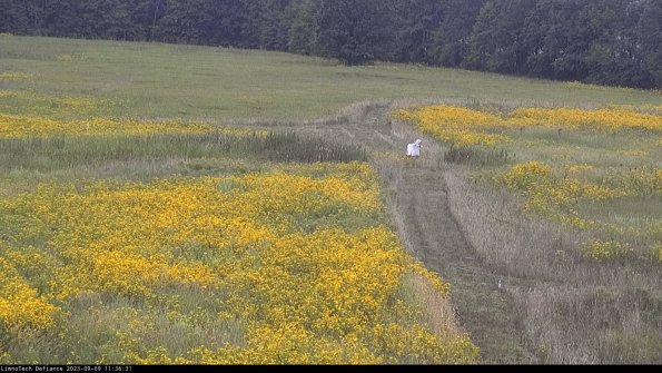 Cell 1 to 2_23-09-09_11-36-31-89