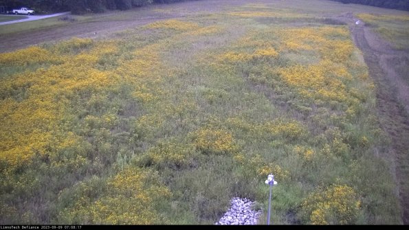 Cell 1_23-09-09_07-08-17-89