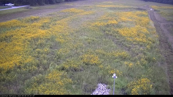 Cell 1_23-09-09_07-41-47-91