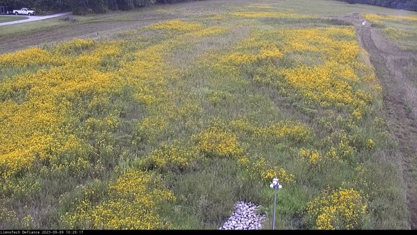 Cell 1_23-09-09_10-29-17-90