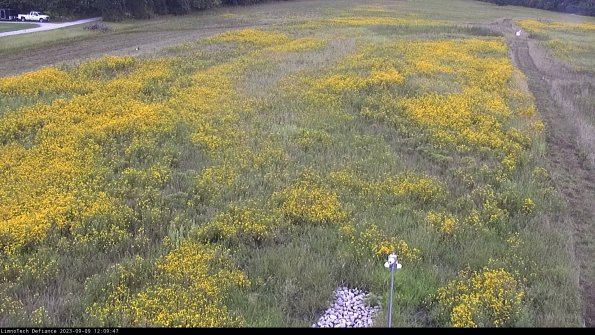 Cell 1_23-09-09_12-09-47-90