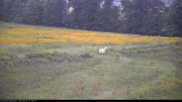 Cell 2 to 3_23-09-09_07-08-58-06