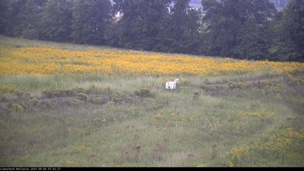 Cell 2 to 3_23-09-09_07-42-28-05