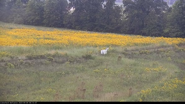 Cell 2 to 3_23-09-09_08-15-58-03