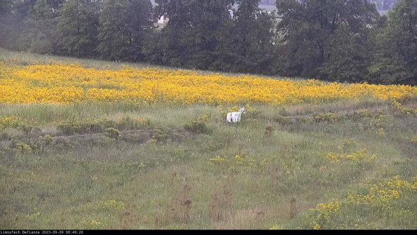 Cell 2 to 3_23-09-09_08-49-27-05