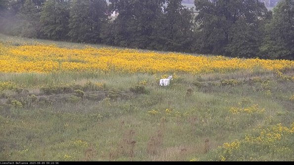 Cell 2 to 3_23-09-09_09-22-56-97