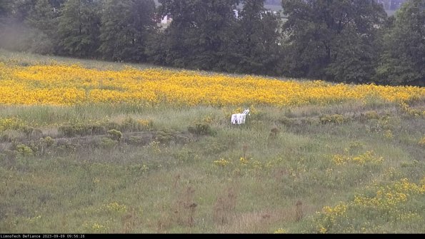 Cell 2 to 3_23-09-09_09-56-26-99