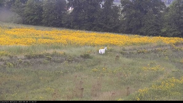 Cell 2 to 3_23-09-09_11-36-58-05