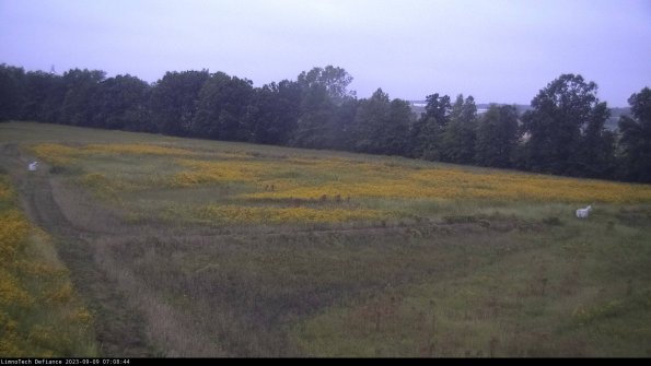 Cell 2_23-09-09_07-08-44-98