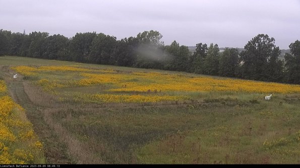 Cell 2_23-09-09_08-49-13-94