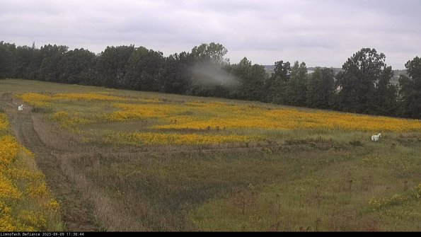 Cell 2_23-09-09_11-36-44-94