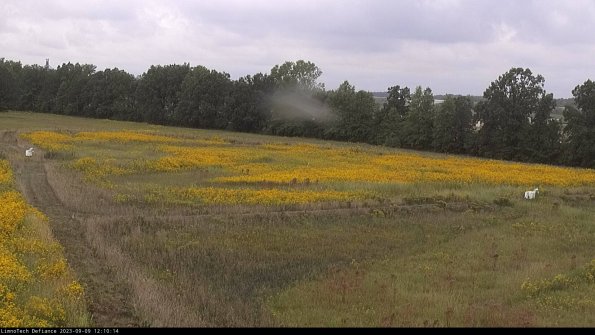 Cell 2_23-09-09_12-10-14-89