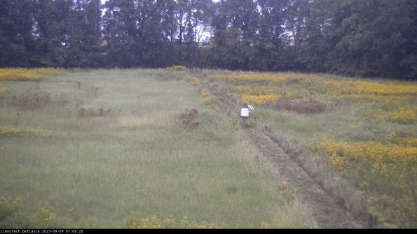 Cell 3 to 4_23-09-09_07-09-26-89