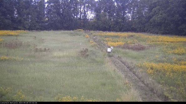 Cell 3 to 4_23-09-09_07-42-56-91