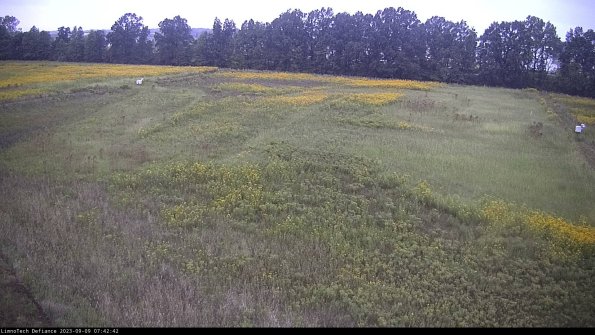 Cell 3_23-09-09_07-42-42-89