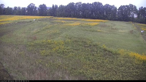 Cell 3_23-09-09_08-16-12-91