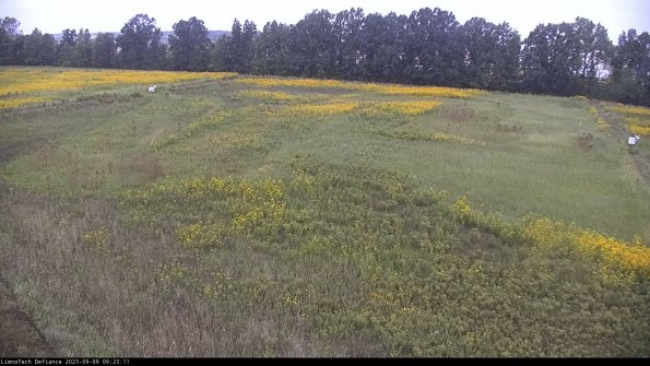 Cell 3_23-09-09_09-23-11-88