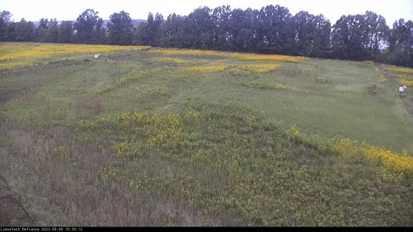 Cell 3_23-09-09_10-30-12-89