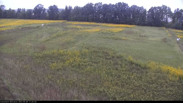 Cell 3_23-09-09_11-03-43-88