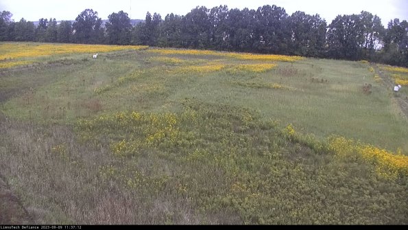 Cell 3_23-09-09_11-37-12-90