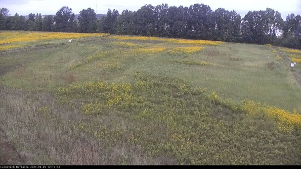 Cell 3_23-09-09_12-10-42-89