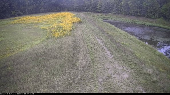 Cell 4 to Basin_23-09-09_07-43-40-89