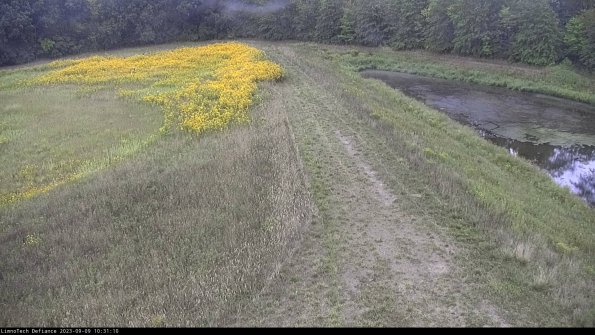 Cell 4 to Basin_23-09-09_10-31-10-92