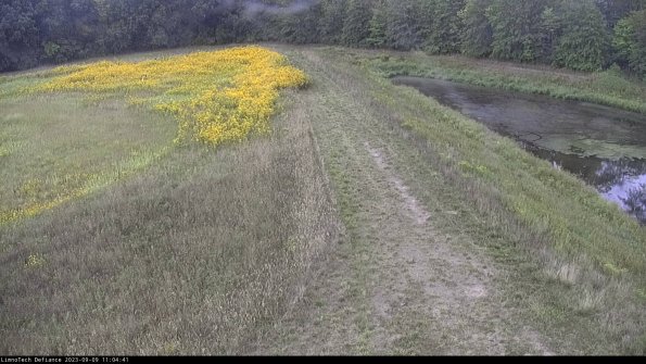 Cell 4 to Basin_23-09-09_11-04-41-91