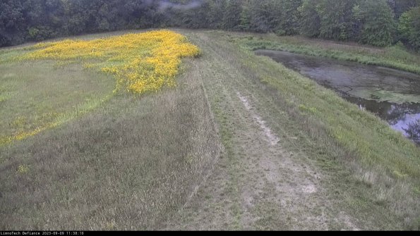 Cell 4 to Basin_23-09-09_11-38-10-89