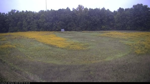 Cell 4_23-09-09_07-09-40-87