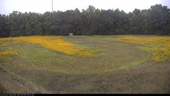 Cell 4_23-09-09_08-16-40-91