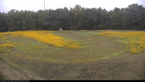 Cell 4_23-09-09_09-23-39-88