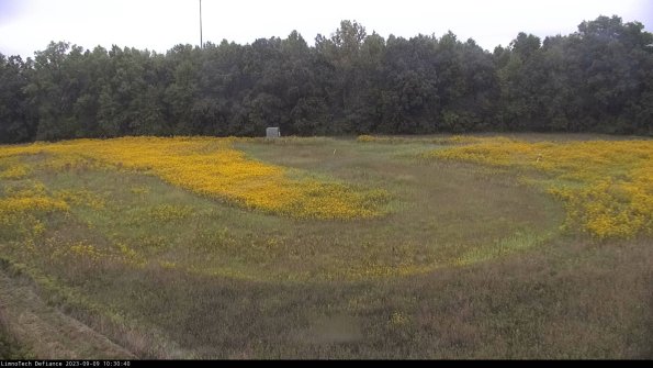 Cell 4_23-09-09_10-30-40-92