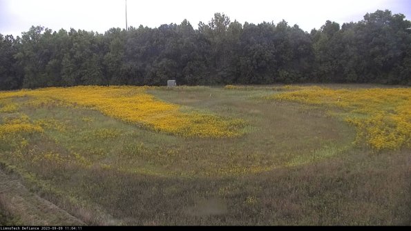 Cell 4_23-09-09_11-04-11-88