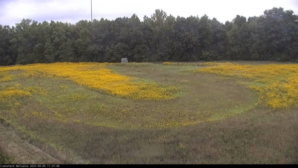 Cell 4_23-09-09_11-37-40-89