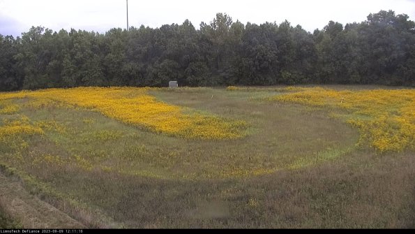 Cell 4_23-09-09_12-11-10-88