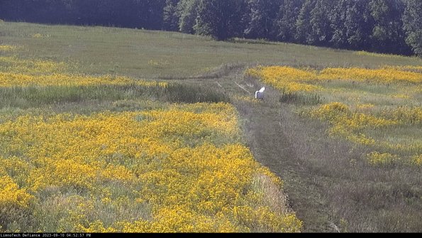 Cell 1 to 2_23-09-10_16-52-57-79