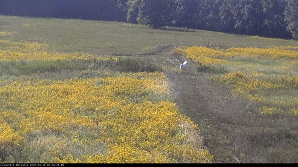 Cell 1 to 2_23-09-10_17-26-26-81