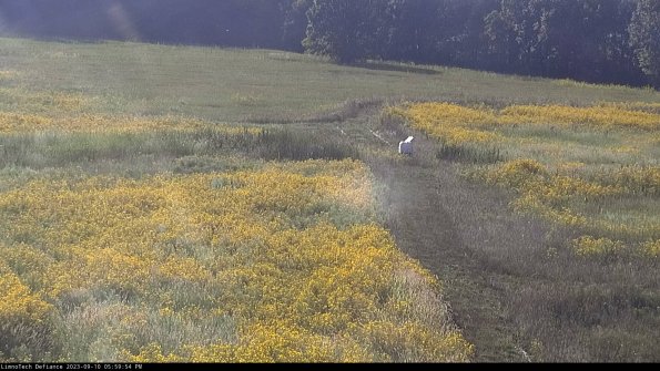 Cell 1 to 2_23-09-10_17-59-54-80