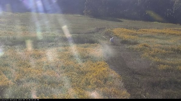 Cell 1 to 2_23-09-10_18-33-24-79