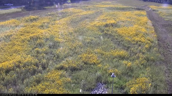 Cell 1_23-09-10_16-52-43-78