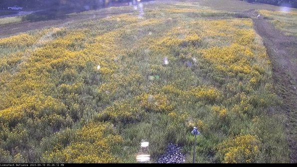 Cell 1_23-09-10_17-26-12-80