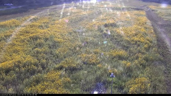 Cell 1_23-09-10_17-59-40-79