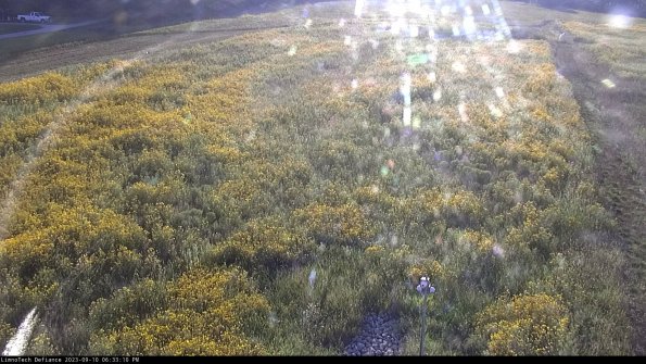 Cell 1_23-09-10_18-33-10-81