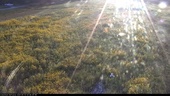 Cell 1_23-09-10_19-06-39-83