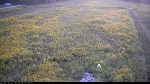 Cell 1_23-09-10_20-13-37-80