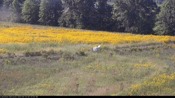 Cell 2 to 3_23-09-10_16-19-54-87