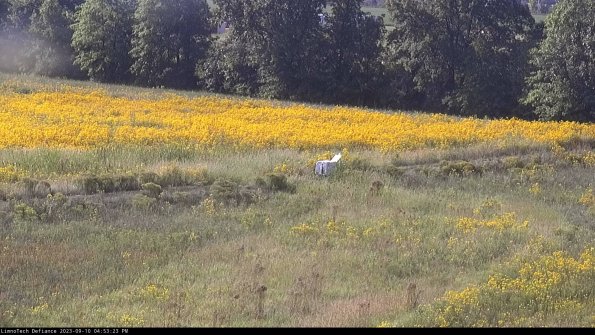 Cell 2 to 3_23-09-10_16-53-23-99