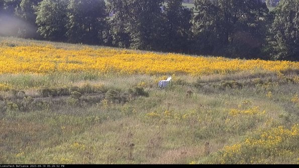 Cell 2 to 3_23-09-10_17-26-52-91