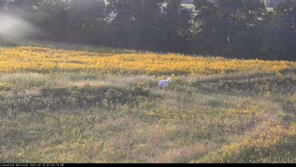 Cell 2 to 3_23-09-10_19-07-19-90